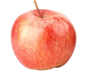 Cornish Orchards apple